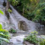 Bua Tong Sticky Waterfalls Chiang Mai