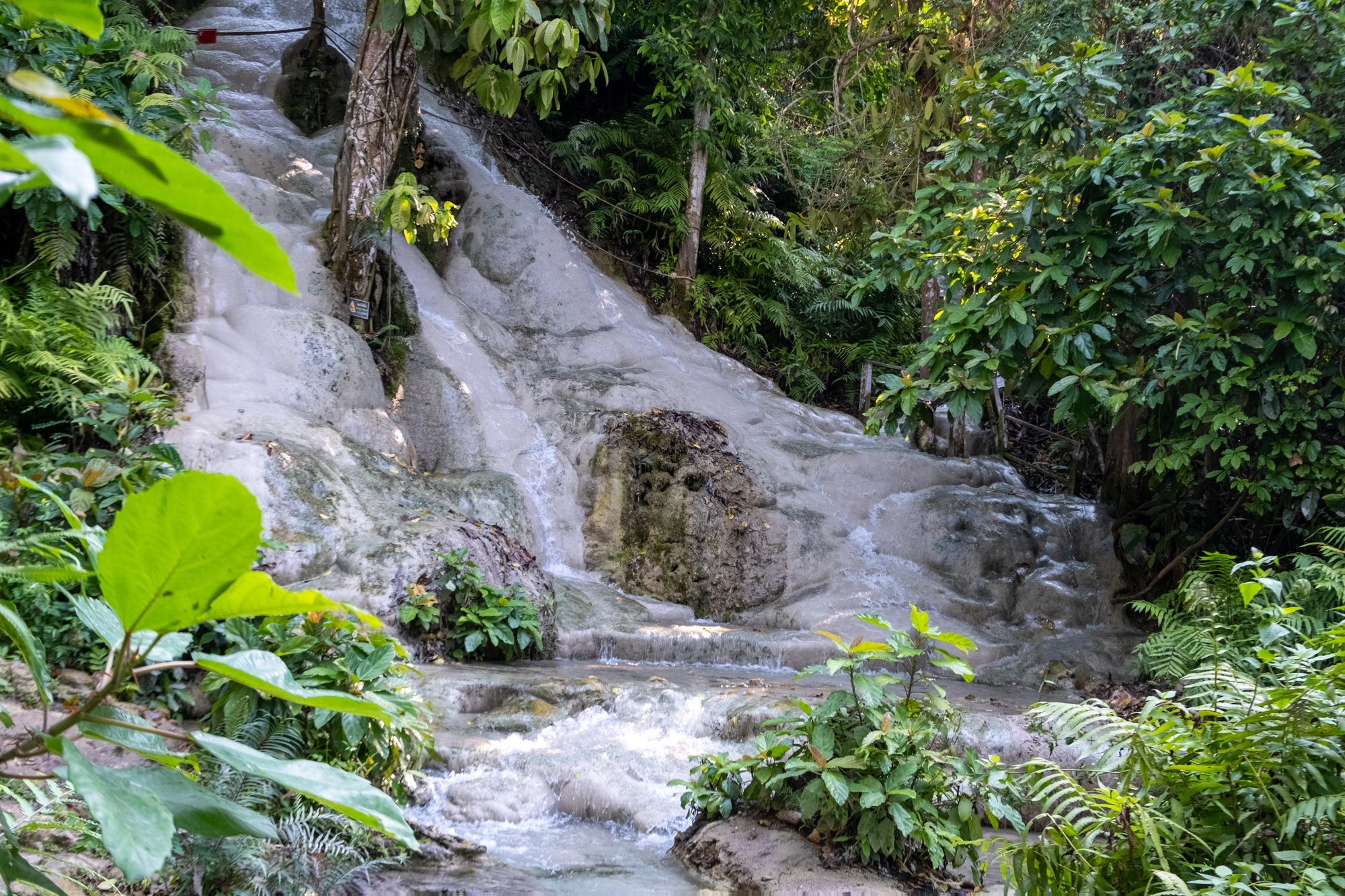 Bua Tong Sticky Waterfalls Chiang Mai