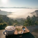 Chiang Mai caféer