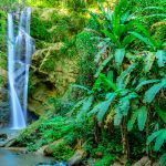 Doi Suthep-Pui National Park