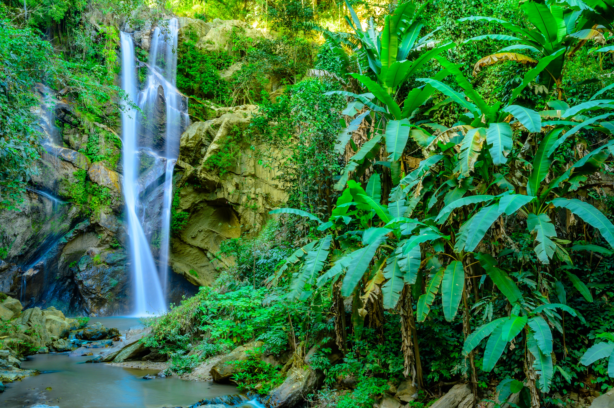 Doi Suthep-Pui National Park