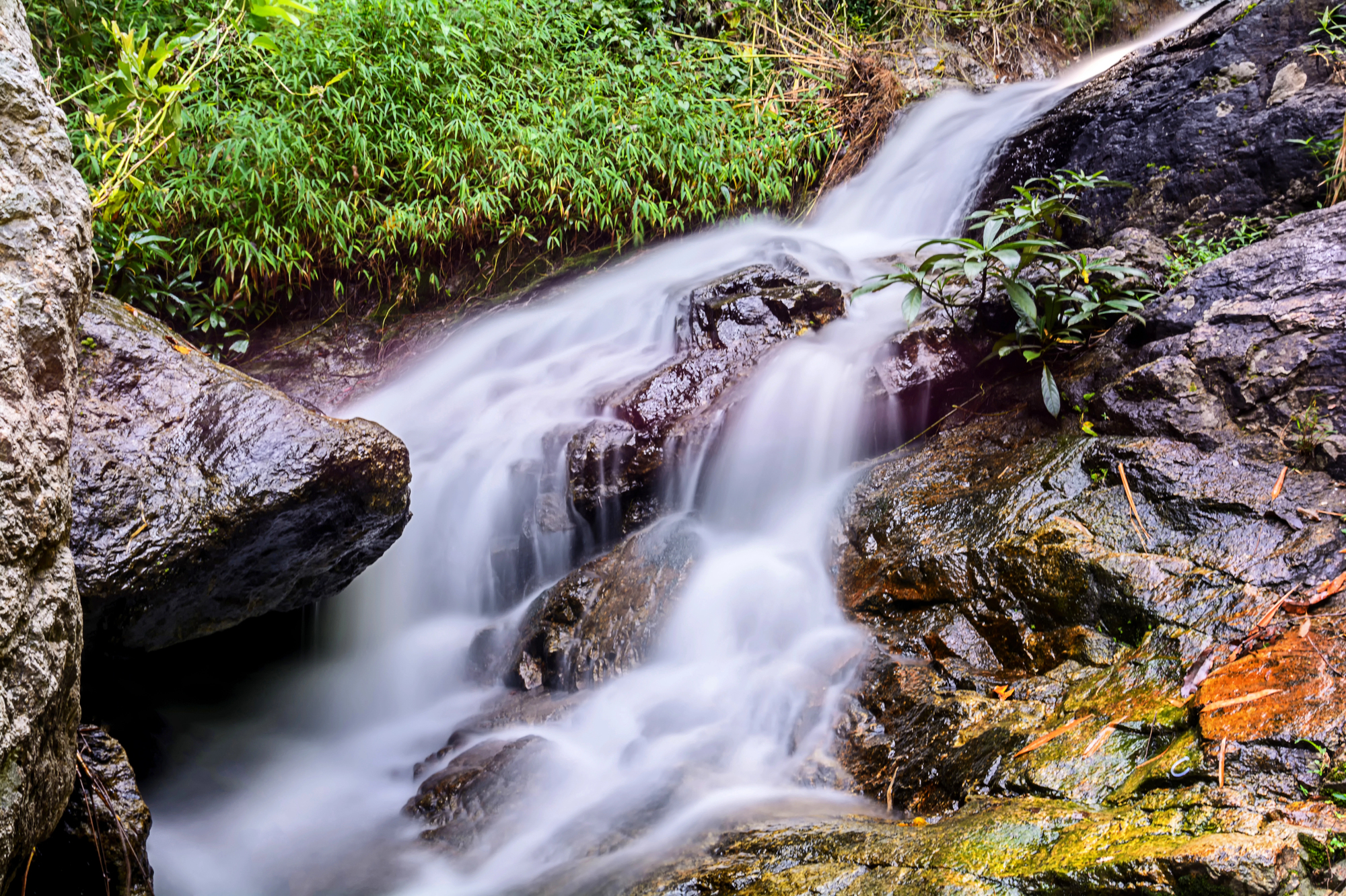 Huay Kaew Waterfall i Chiang Mai