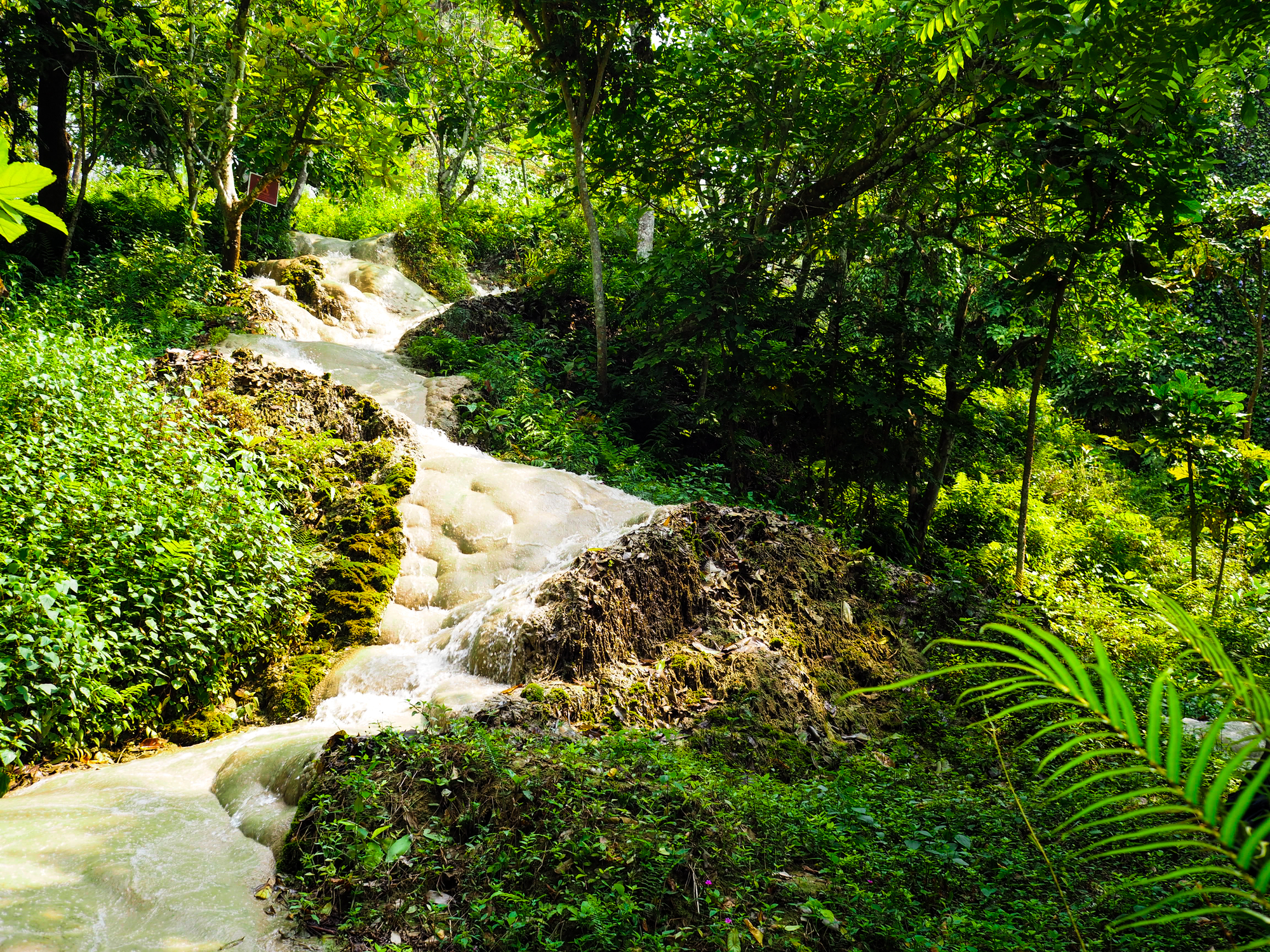 Sticky Waterfalls i Nordthailand