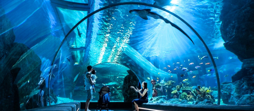 SEA LIFE Bangkok Ocean World i Siam